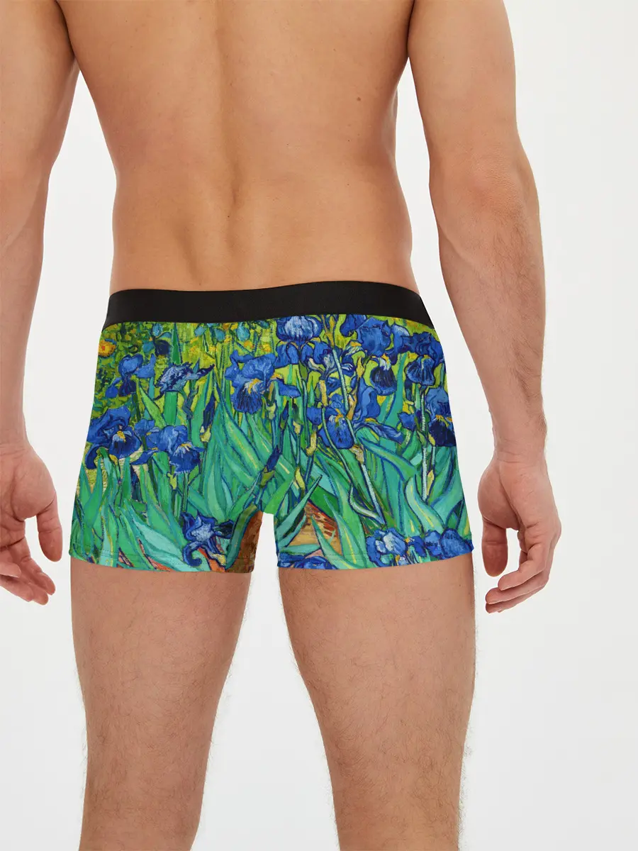 Мужские трусы боксеры / Ирисы Ван Гога