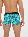 Мужские трусы боксеры / ТРОПИЧЕСКИЕ ПАЛЬМЫ.