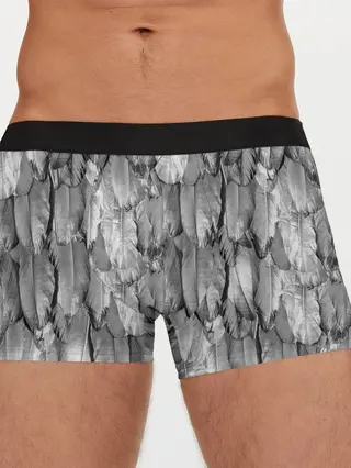 Мужские трусы боксеры / White Raven