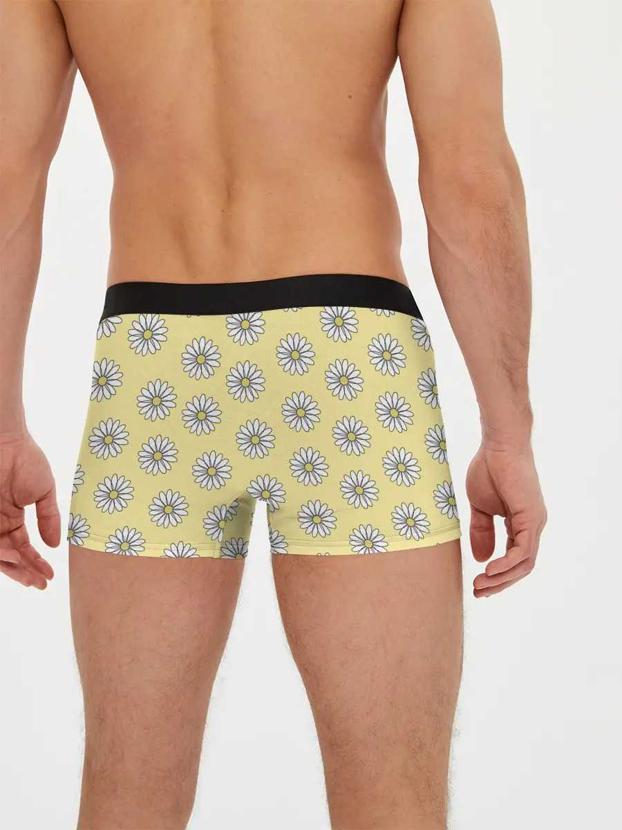 Мужские трусы боксеры / Ромашки | 2