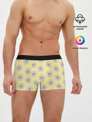Мужские трусы боксеры / Ромашки | 2