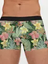 Мужские трусы боксеры / Тропические растения и цветы