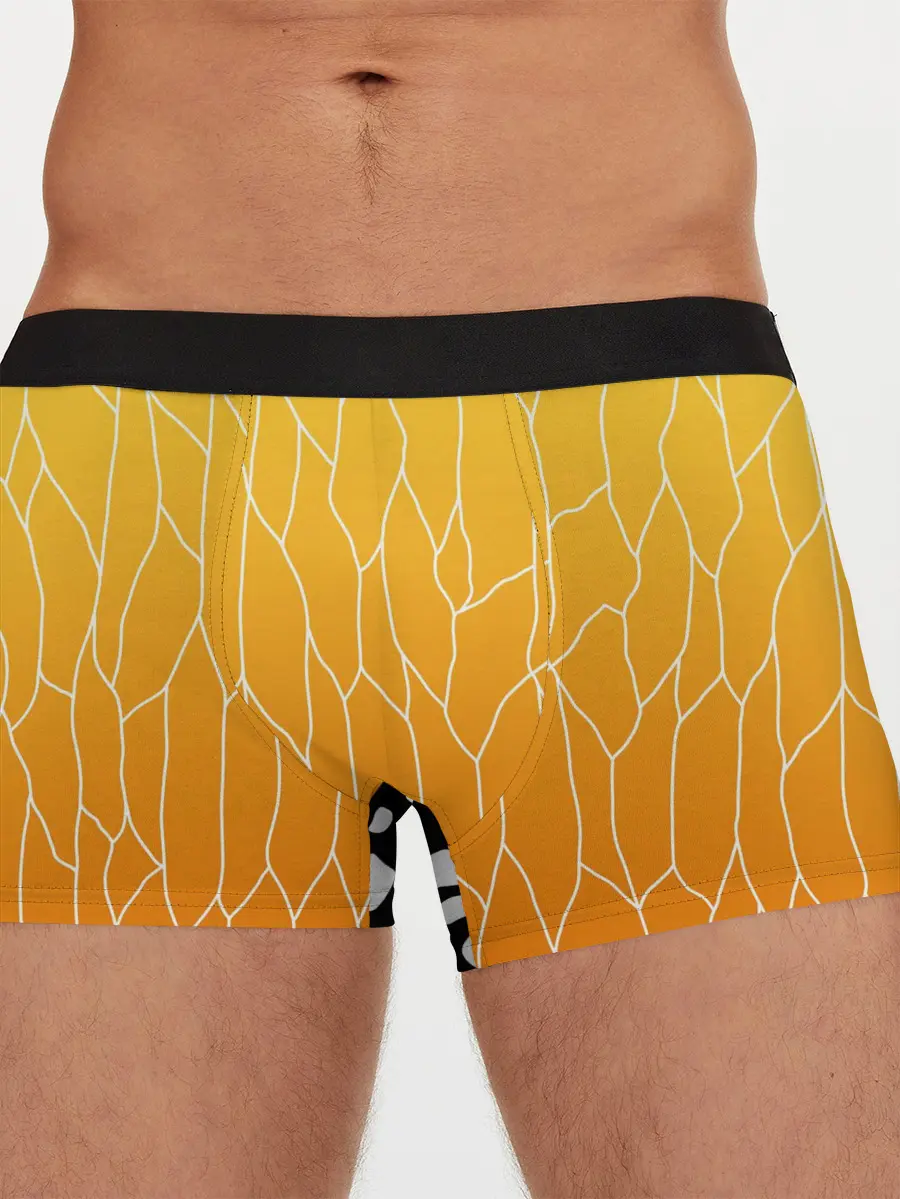 Мужские трусы боксеры / ЗЕНИТЦУ | КОЧО