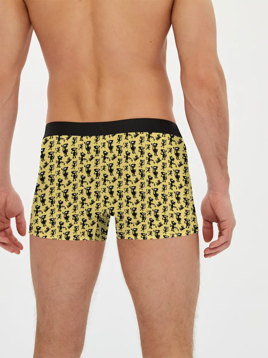 Мужские трусы боксеры / Disenchantment. Luci