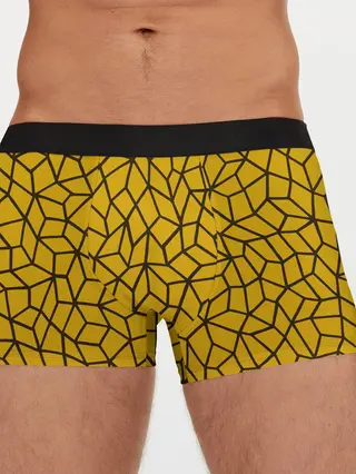 Мужские трусы боксеры / Геометрическая текстура