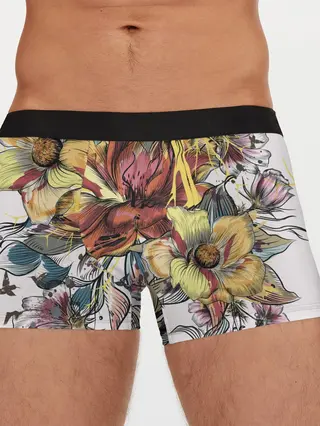 Мужские трусы боксеры / Коллекция RENAISSANCE