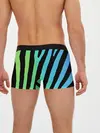Мужские трусы боксеры / Радужная зебра