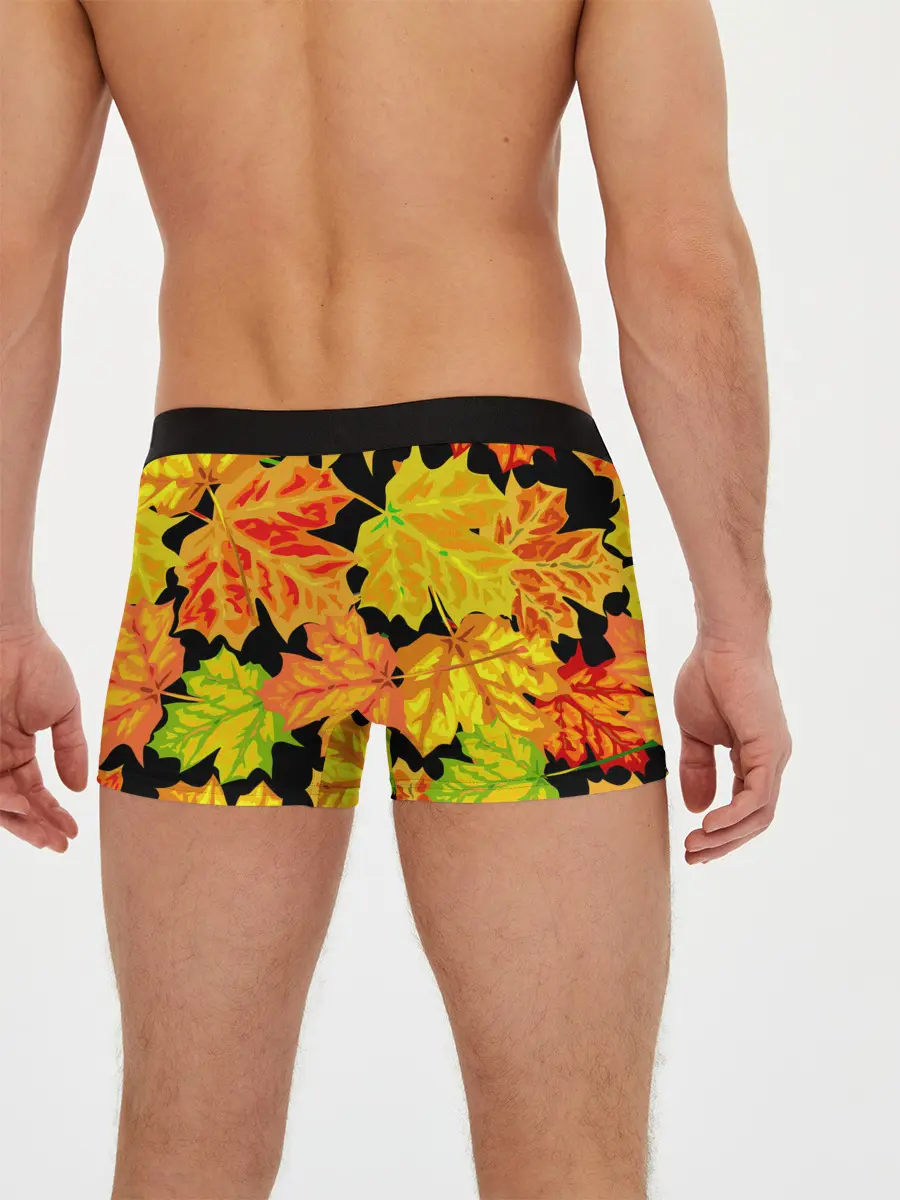 Мужские трусы боксеры / LEAF FALL / AUTUMN
