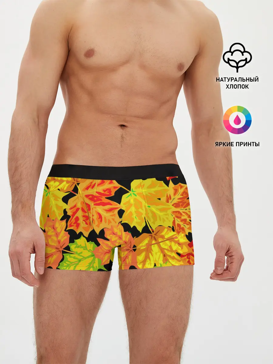 Мужские трусы боксеры / LEAF FALL / AUTUMN