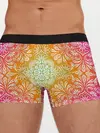 Мужские трусы боксеры / Цветочный узор