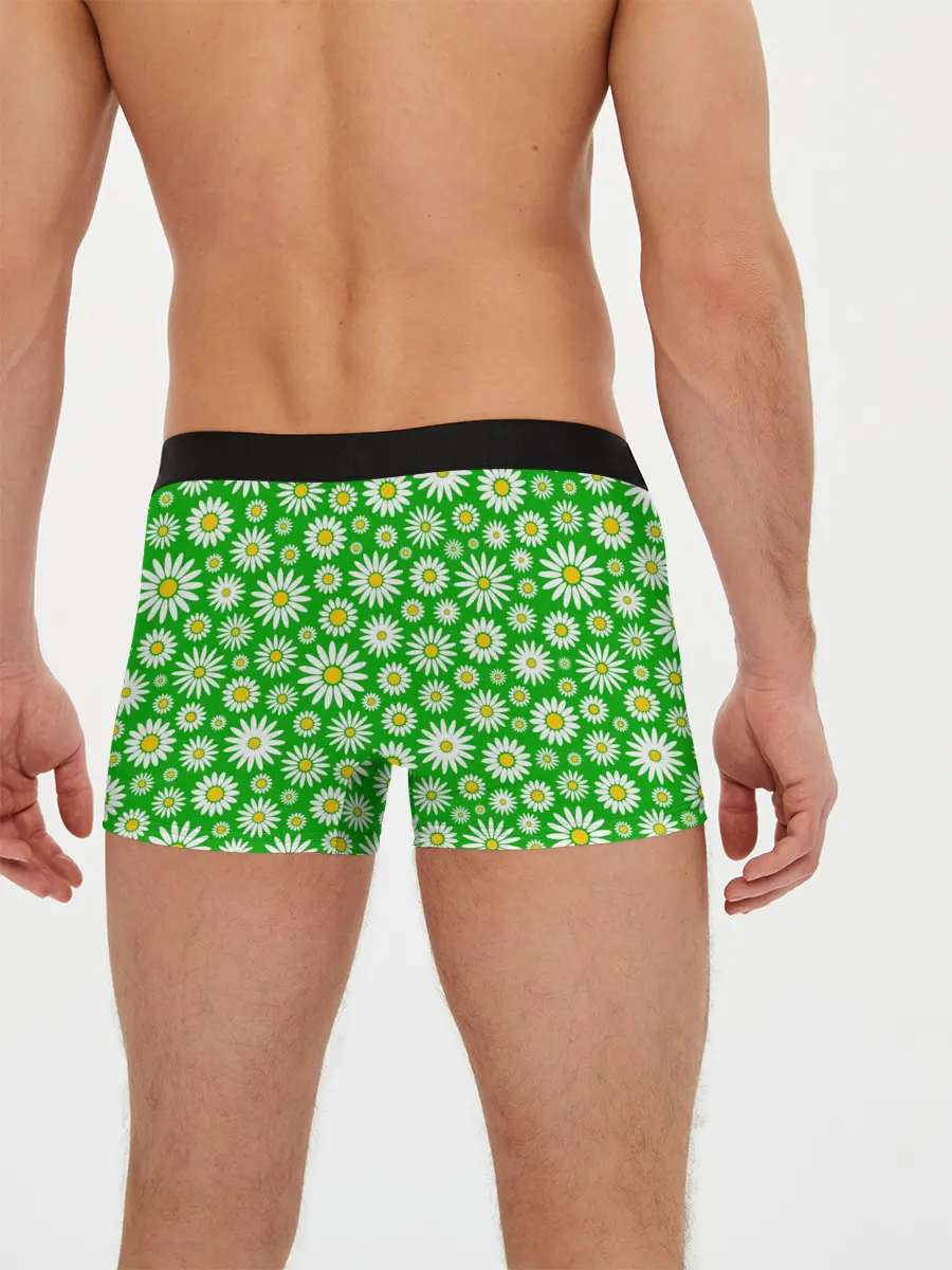 Мужские трусы боксеры / Ромашки на зелёном фоне