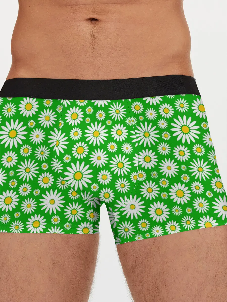 Мужские трусы боксеры / Ромашки на зелёном фоне