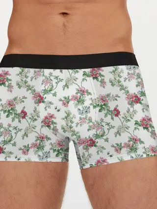 Мужские трусы боксеры / Весенняя жизнь