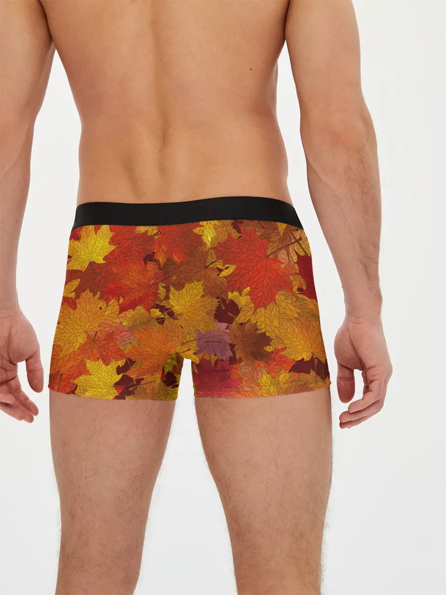 Мужские трусы боксеры / Осенние листья