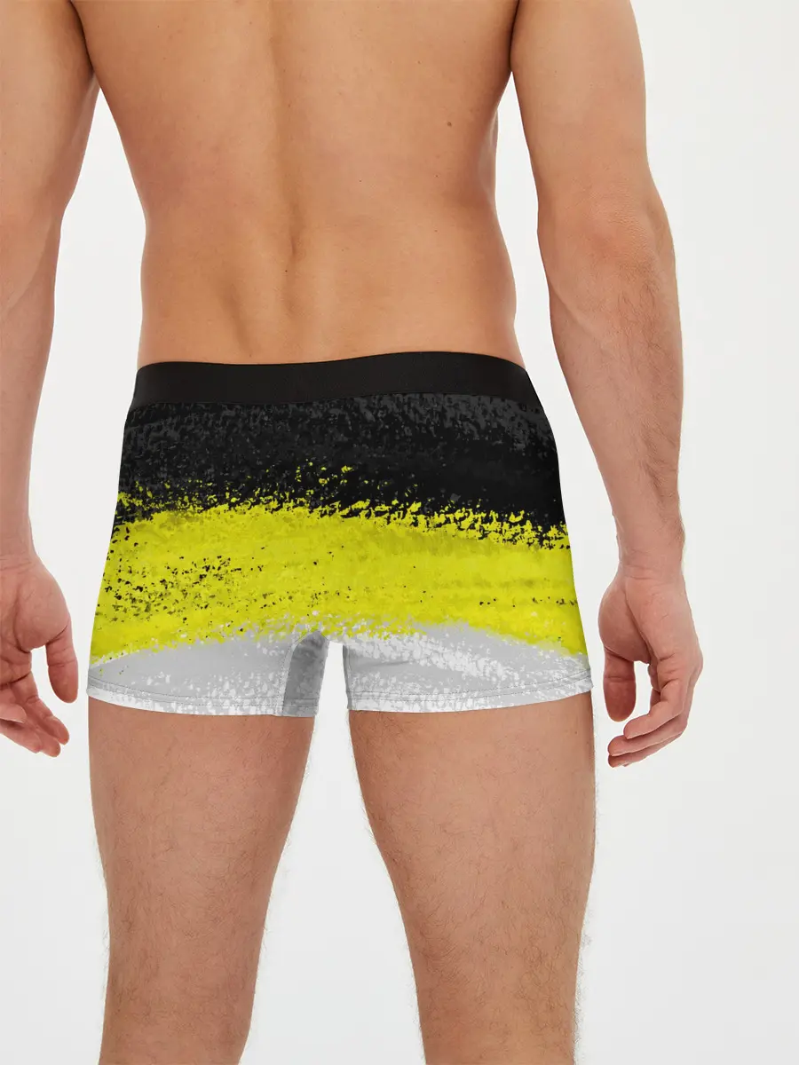 Мужские трусы боксеры / Имперский флаг России 1858года