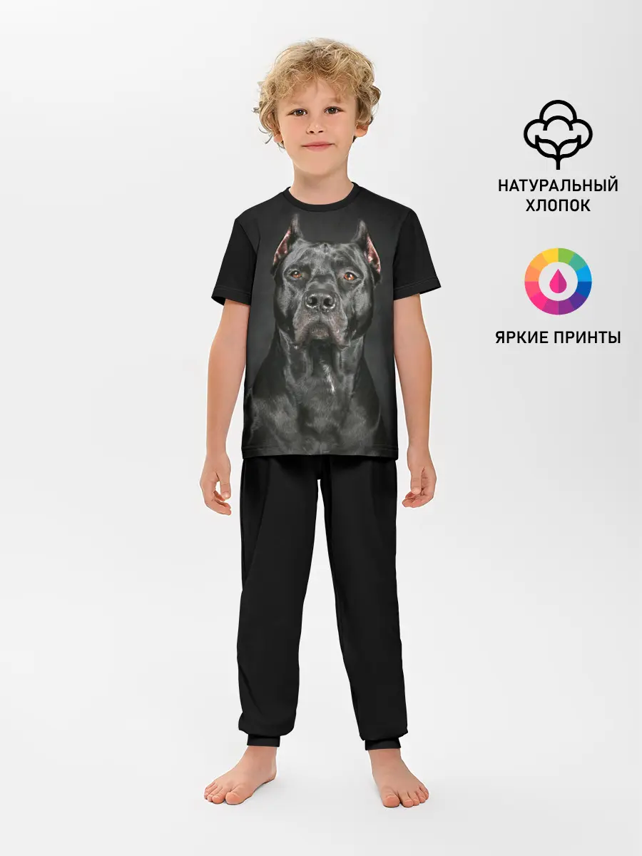 Детская пижама с брюками / Питбуль