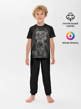 Детская пижама с брюками / Питбуль