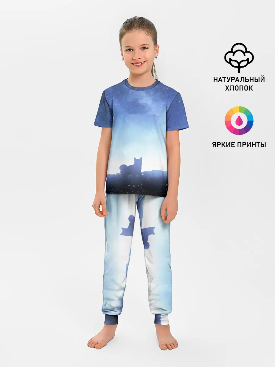 Детская пижама с брюками / силуэт корги ночь космос дымка