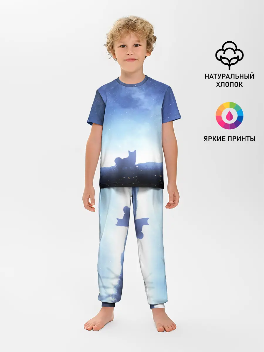 Детская пижама с брюками / силуэт корги ночь космос дымка