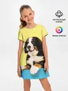 Детское платье / Бернский зенненхунд, Berner Sennenhund