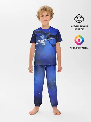 Детская пижама с брюками / Night Fury