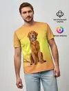 Мужская базовая футболка / Золотистый ретривер