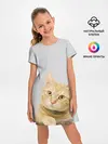 Детское платье / Рыжий котик