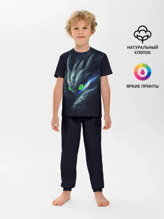 Детская пижама с брюками / ночная фурия