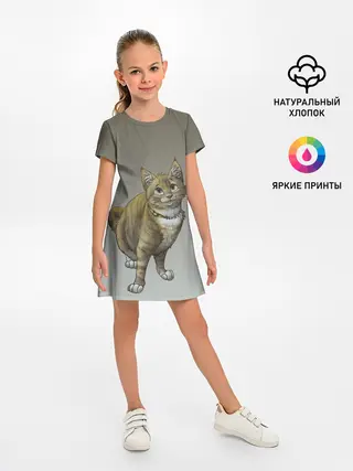 Детское платье / полосатый уличный кот