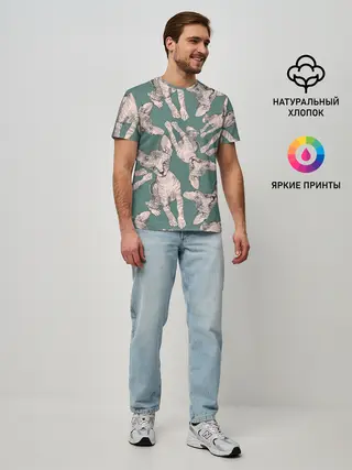 Мужская базовая футболка / Котёнок сфинкса