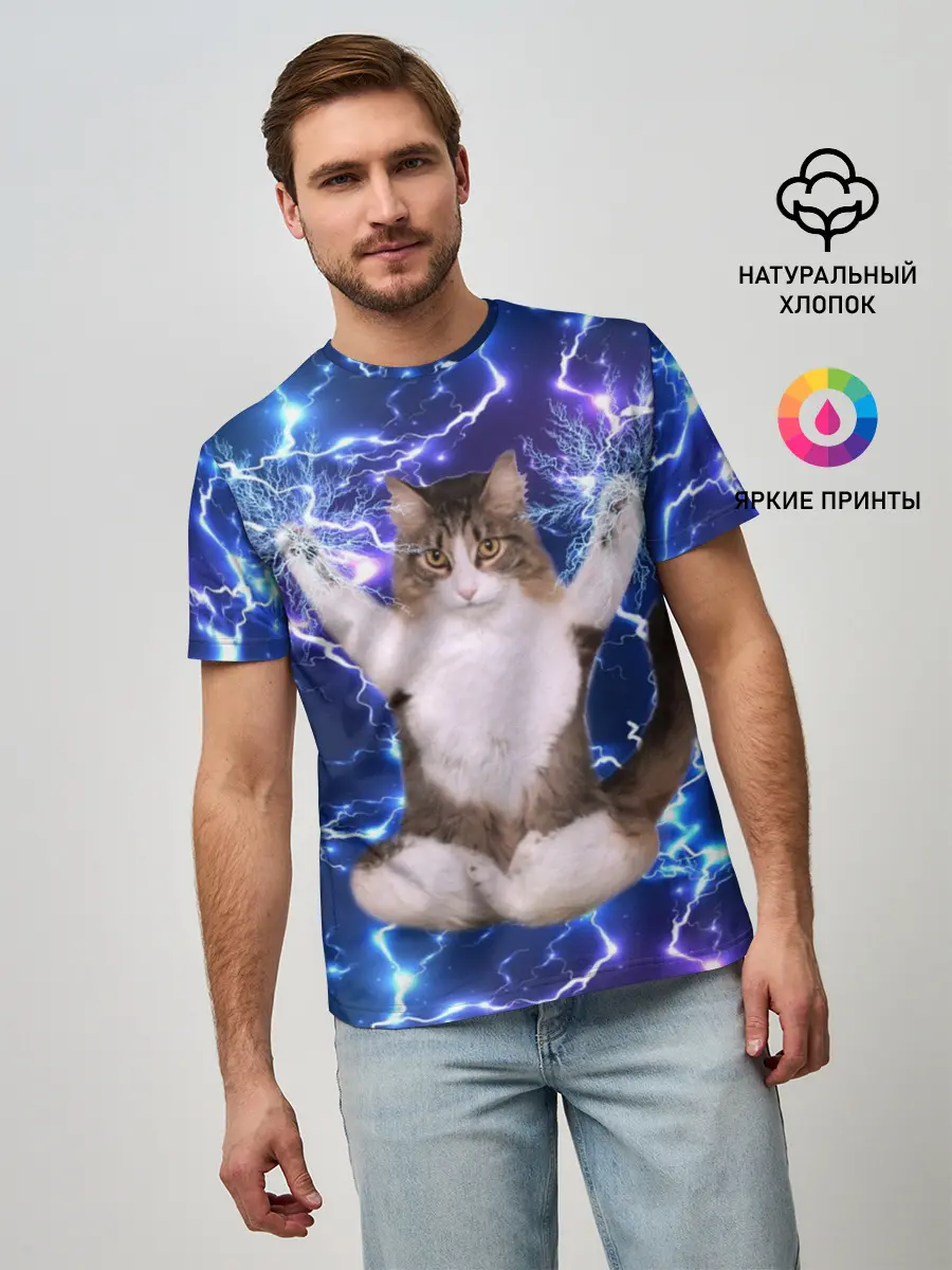 Мужская базовая футболка / Грозовой Котик