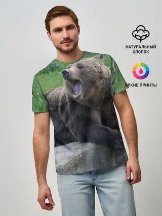 Мужская базовая футболка / Медведь