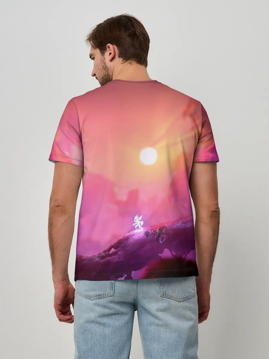 Мужская базовая футболка / Ori and the Will of the Wisps