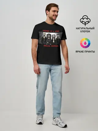 Мужская базовая футболка / System of a Down