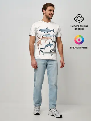 Мужская базовая футболка / акулы
