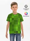 Детская базовая футболка / Minecraft