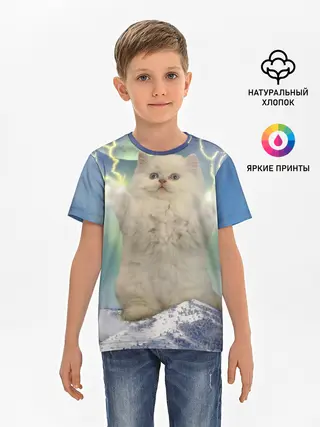 Детская базовая футболка / Грозовой Котик