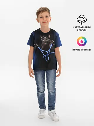Детская базовая футболка / Грозовой кошак