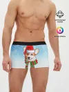 Мужские трусы боксеры / Новогодний Корги / New Years Corgi