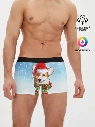 Мужские трусы боксеры / Новогодний Корги / New Years Corgi