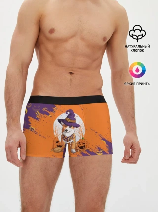 Мужские трусы боксеры / КОРГИ НА ХЭЛЛОУИНЕ