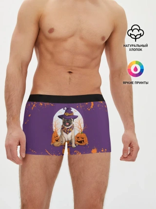 Мужские трусы боксеры / МОПС НА ХЭЛЛОУИН