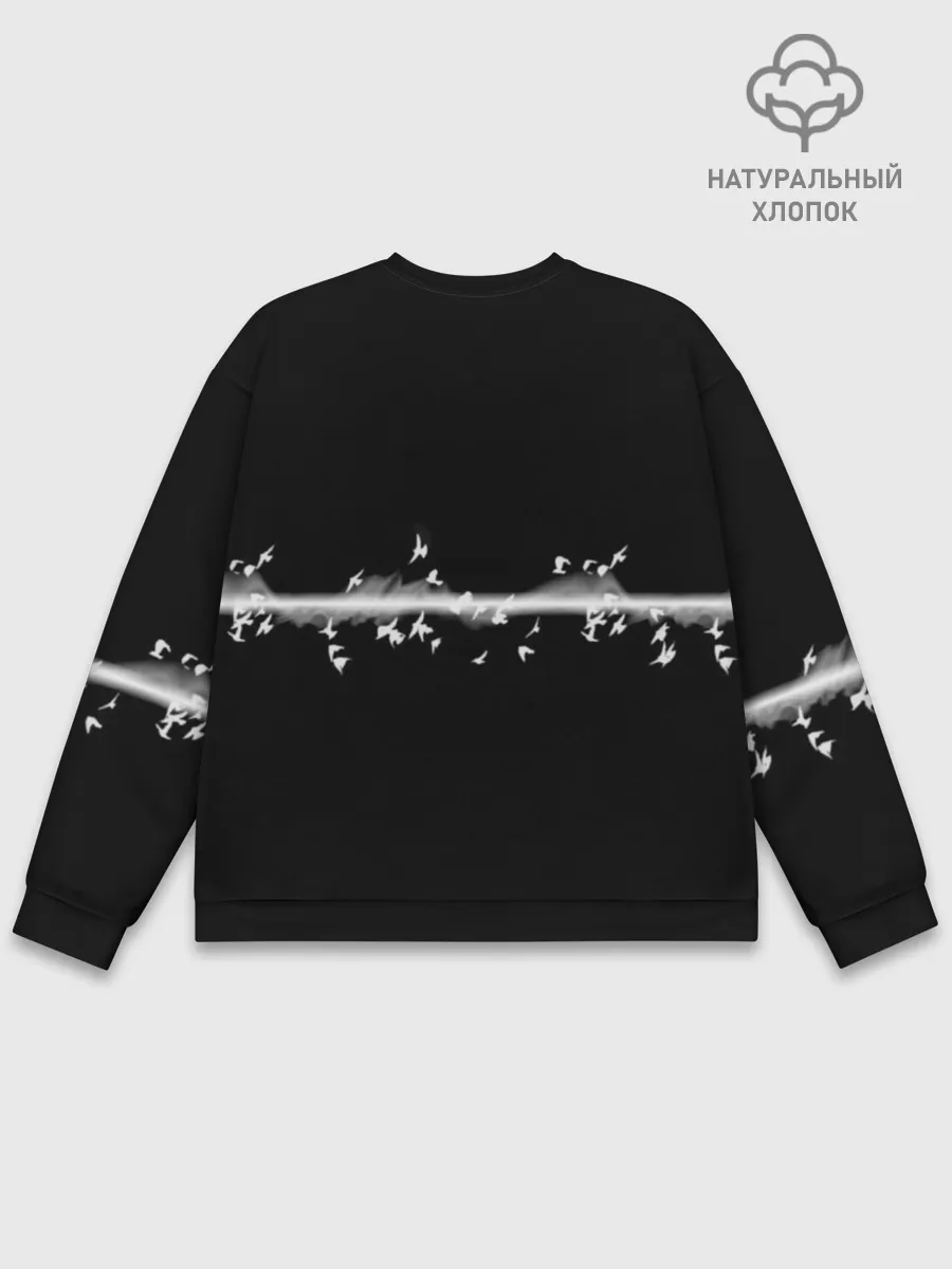 Мужской свитшот базовый / Pink Floyd