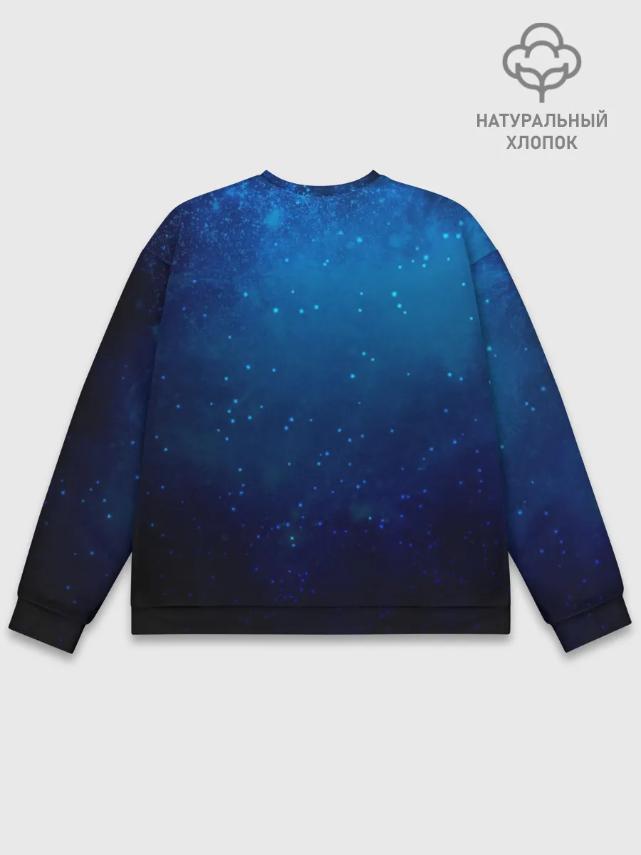 Мужской свитшот базовый / Водолей