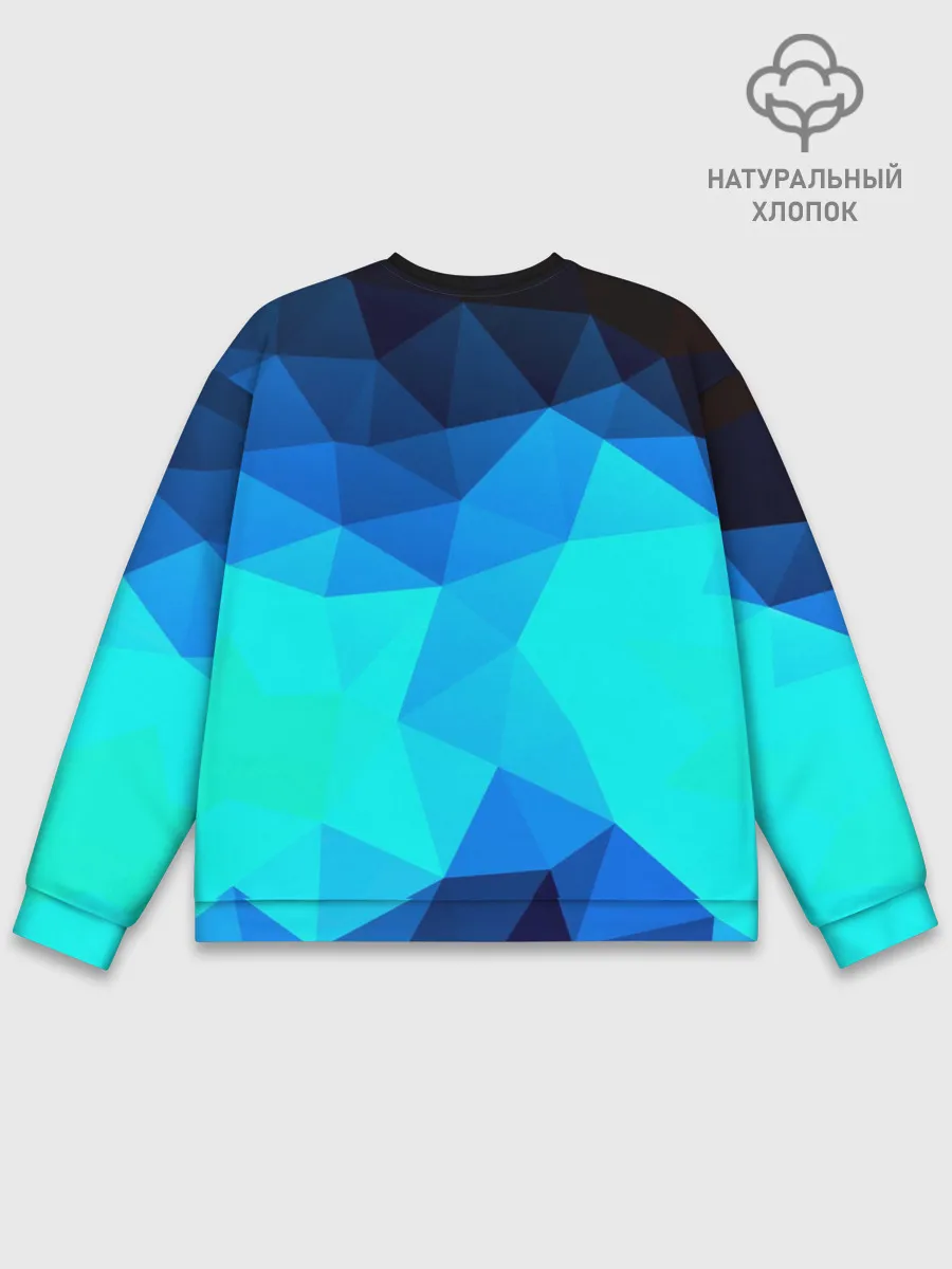 Мужской свитшот базовый / Pilygon
