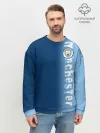 Мужской свитшот базовый / Manchester city 2018 o
