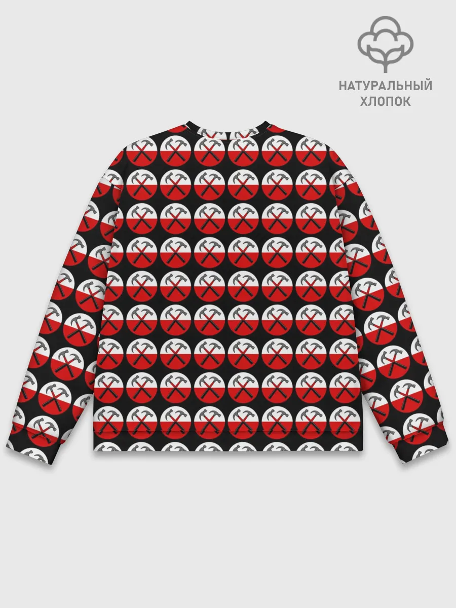 Мужской свитшот базовый / Pink Floyd