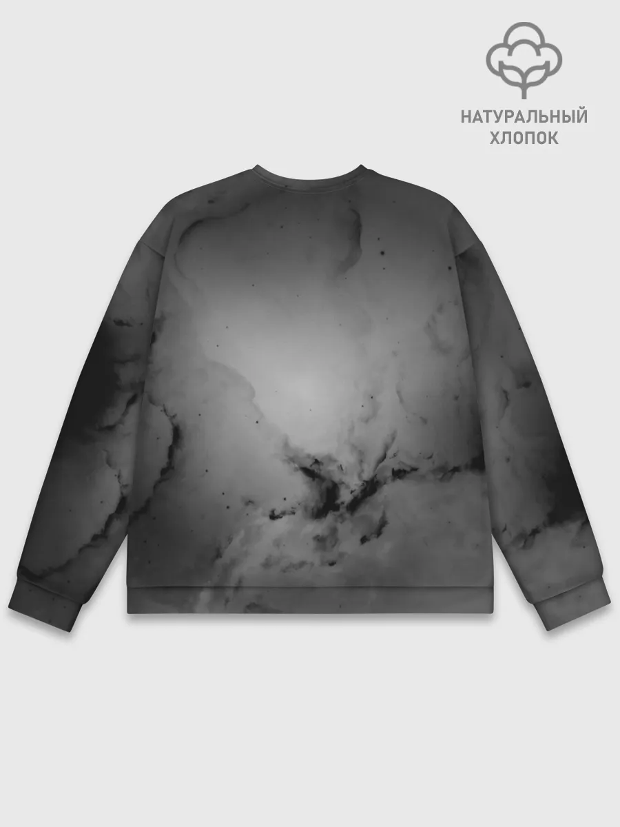 Мужской свитшот базовый / ALAN WALKER