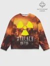 Мужской свитшот базовый / S.T.A.L.K.E.R Артур