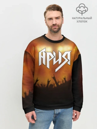 Мужской свитшот базовый / ария